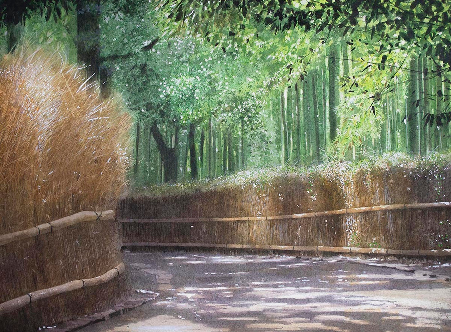 京都嵯峨野 竹林の道