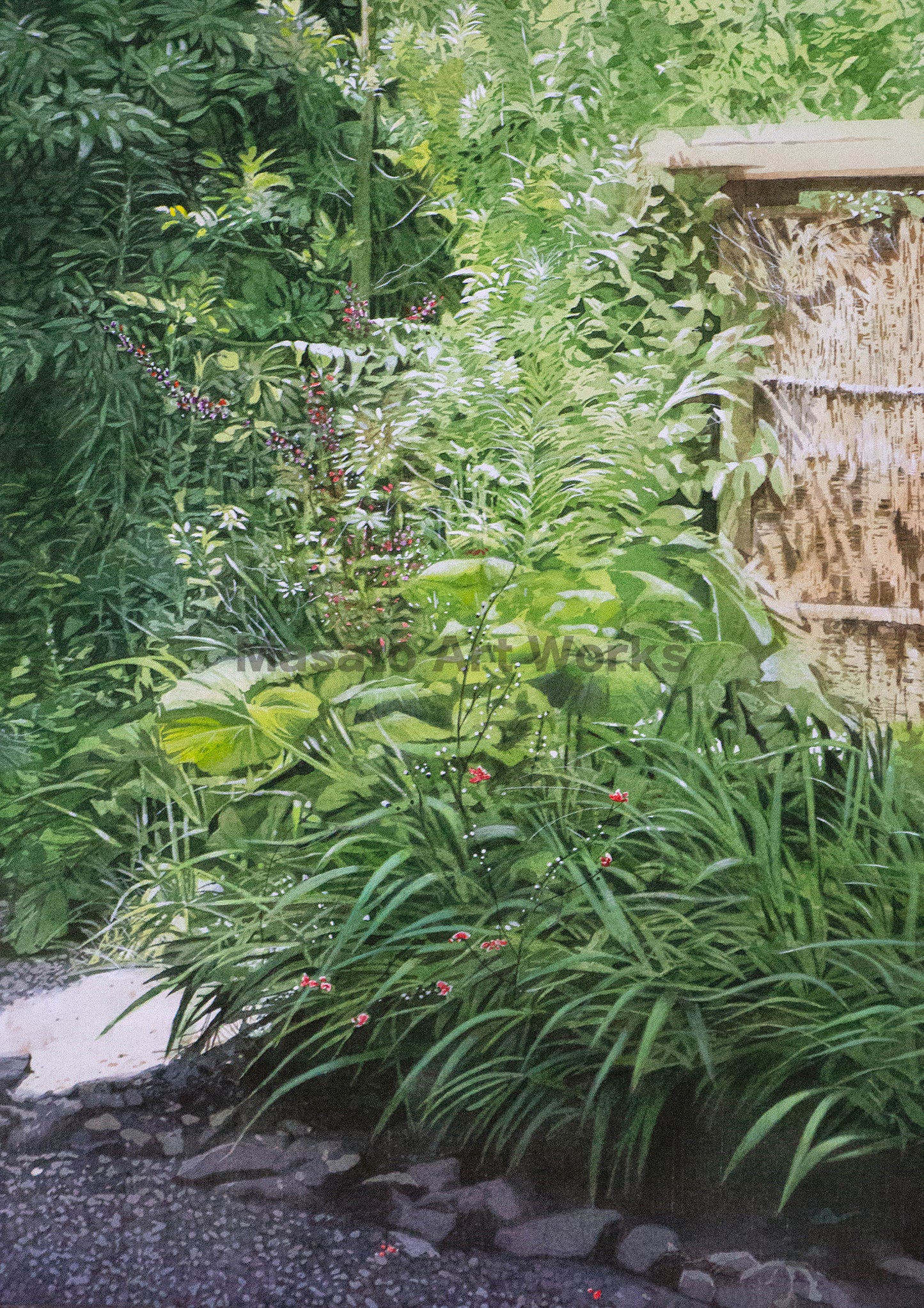 flores de cerezo y río