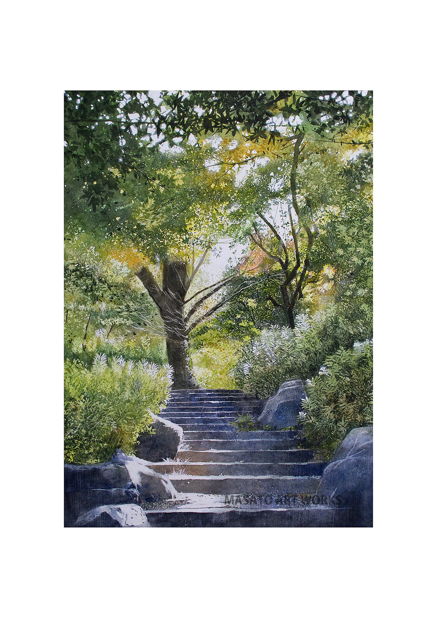 WP-Escalones de piedra y luz filtrada entre árboles