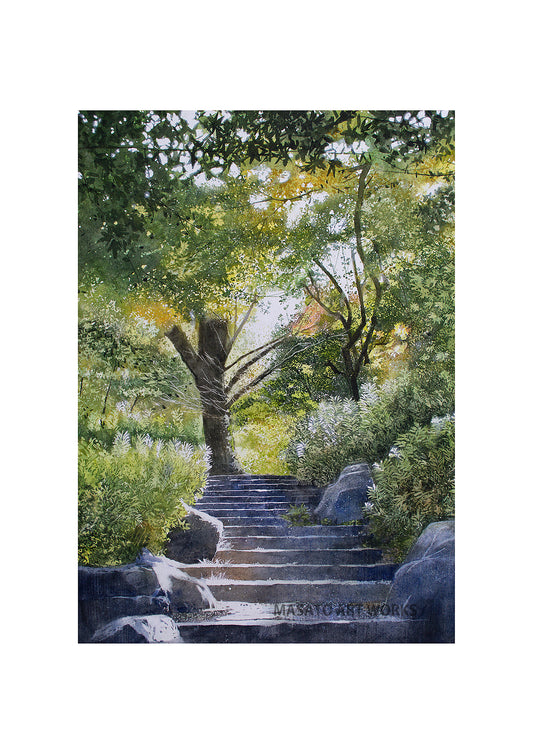 WP-石段と木漏れ日