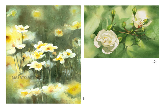 10. Winter Cosmos, Mini Rose, Set of 2 Watercolor Paintings