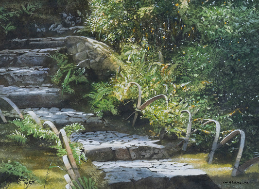 a-Stone steps, early summer