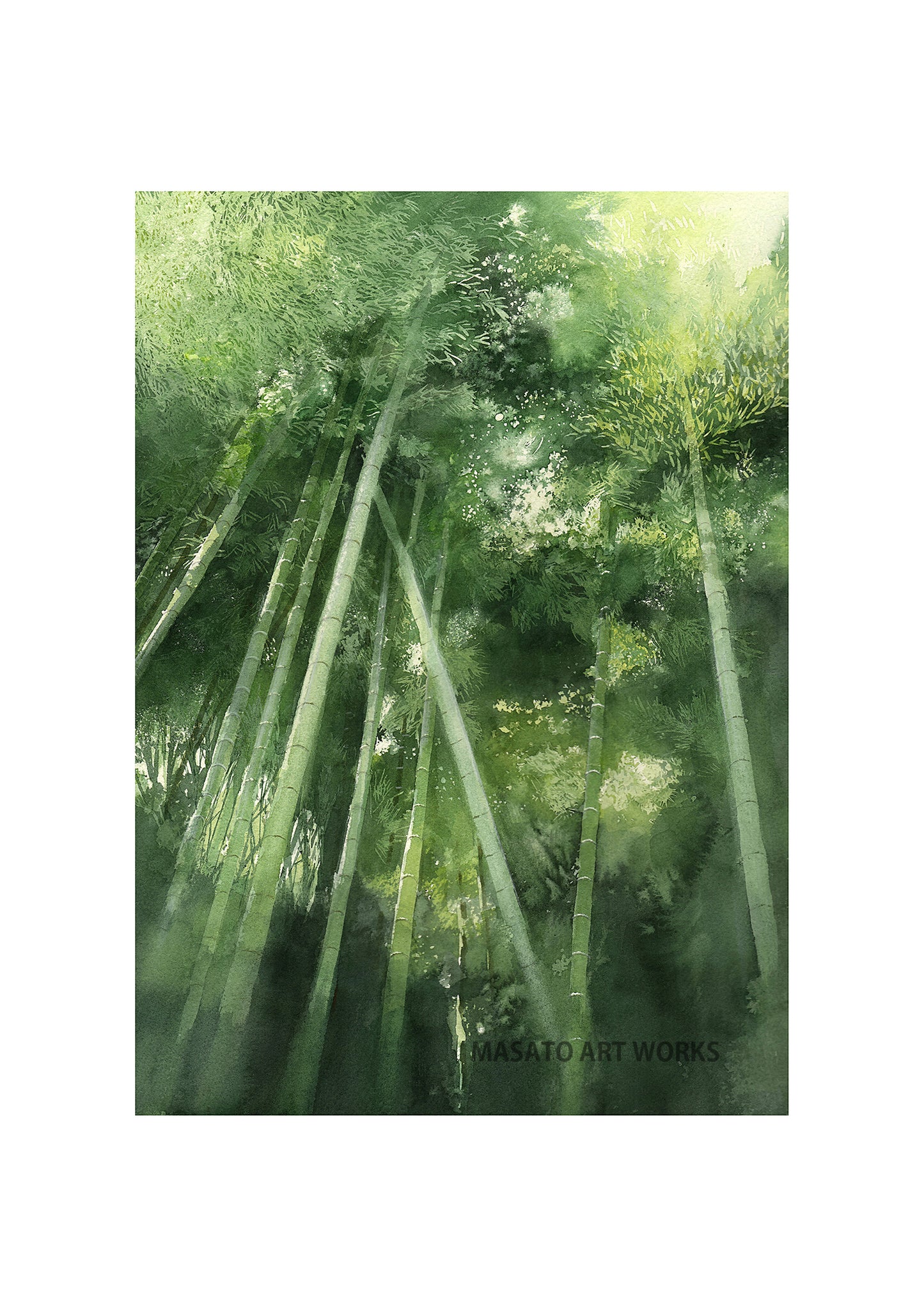 WP-Bamboo Grove