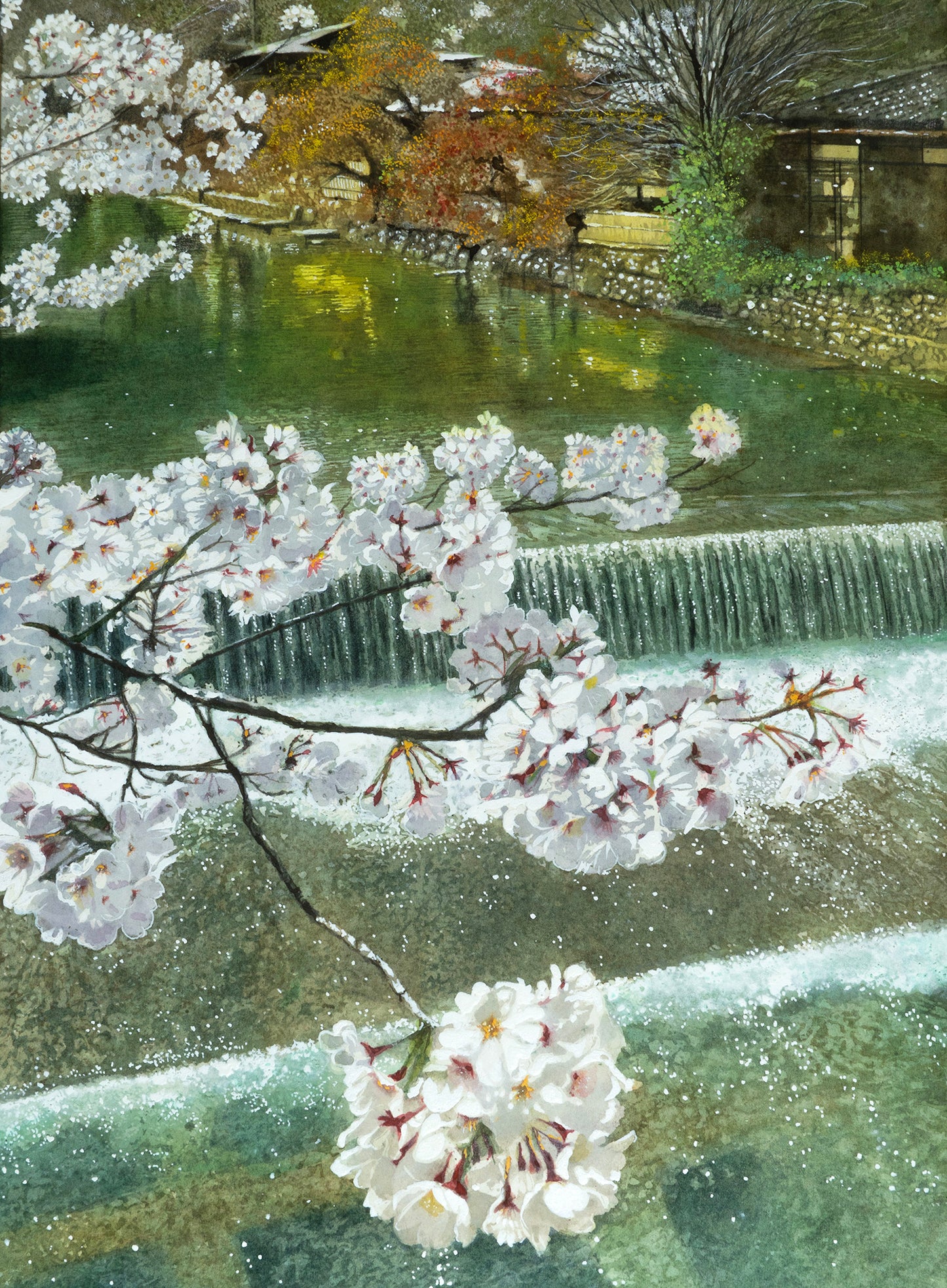 n-京都嵐山・春・桜と川の流れ