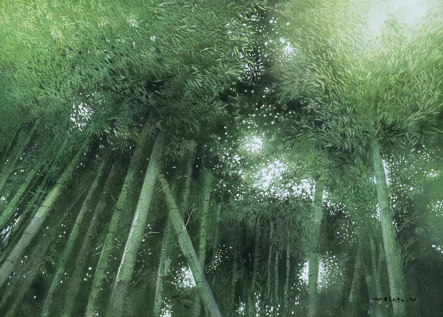 a-Bambus und Licht