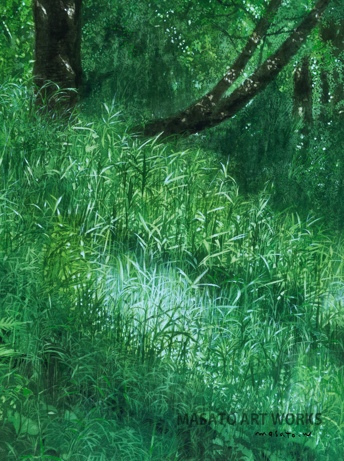 n-新緑の輝く季節