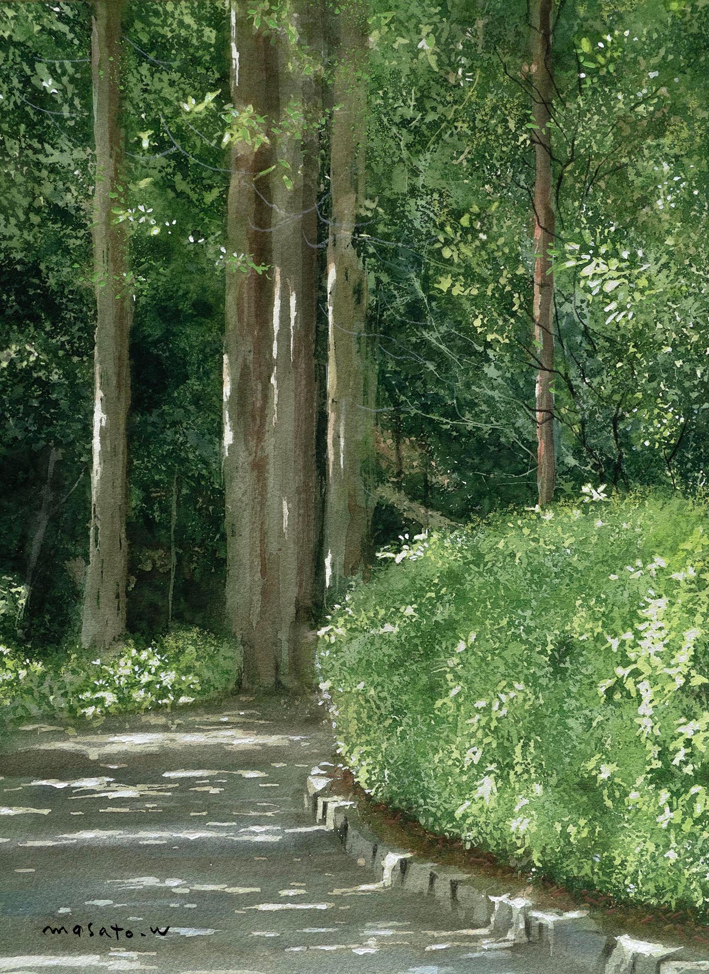 7-木漏れ日の道