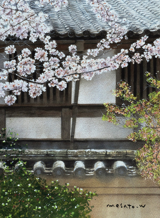 7-京都嵐山で見た桜の風景