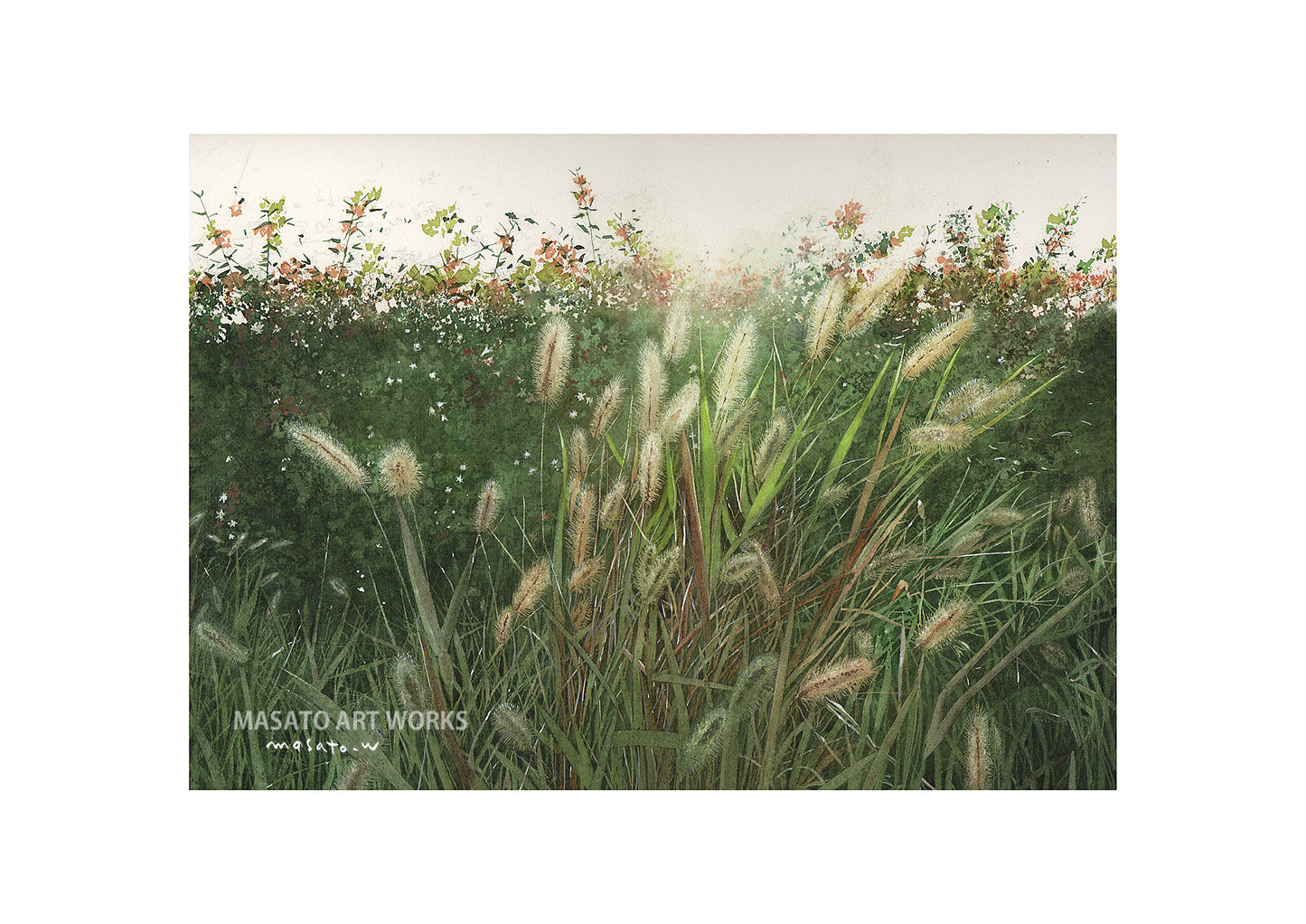 WP-ねこじゃらし