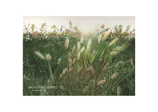 WP-Juguete para gatos