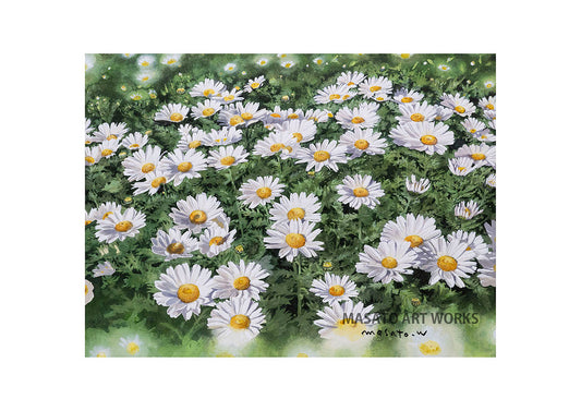 WP-ノースポール