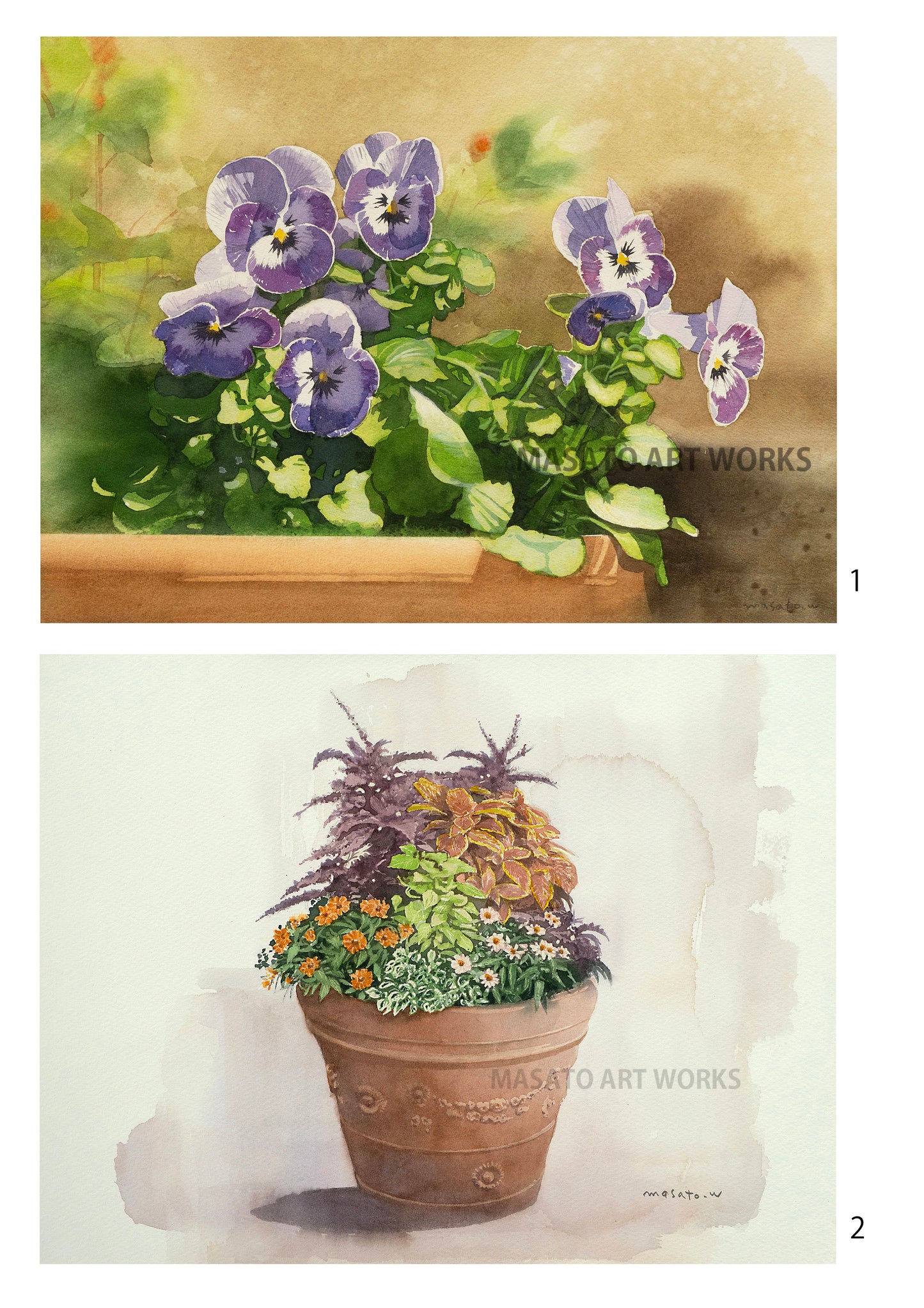 10.寄植え・ビオラ・水彩画2点セット