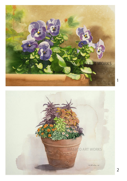 10.寄植え・ビオラ・水彩画2点セット