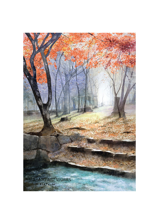 WP-京都上賀茂にて