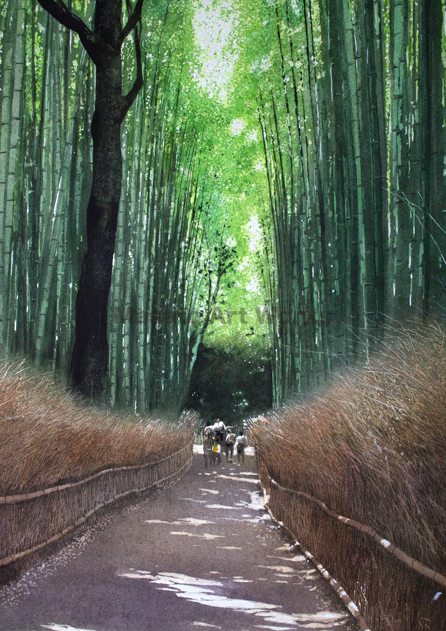 Bamboo Forest Path