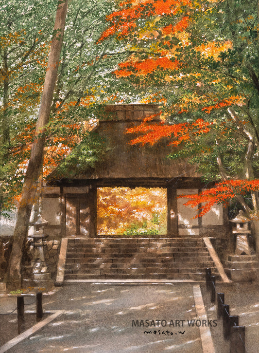 n-26 京都 紅葉ひかり満ちて