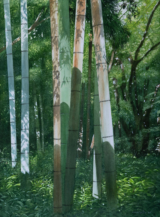 un bosque de bambú
