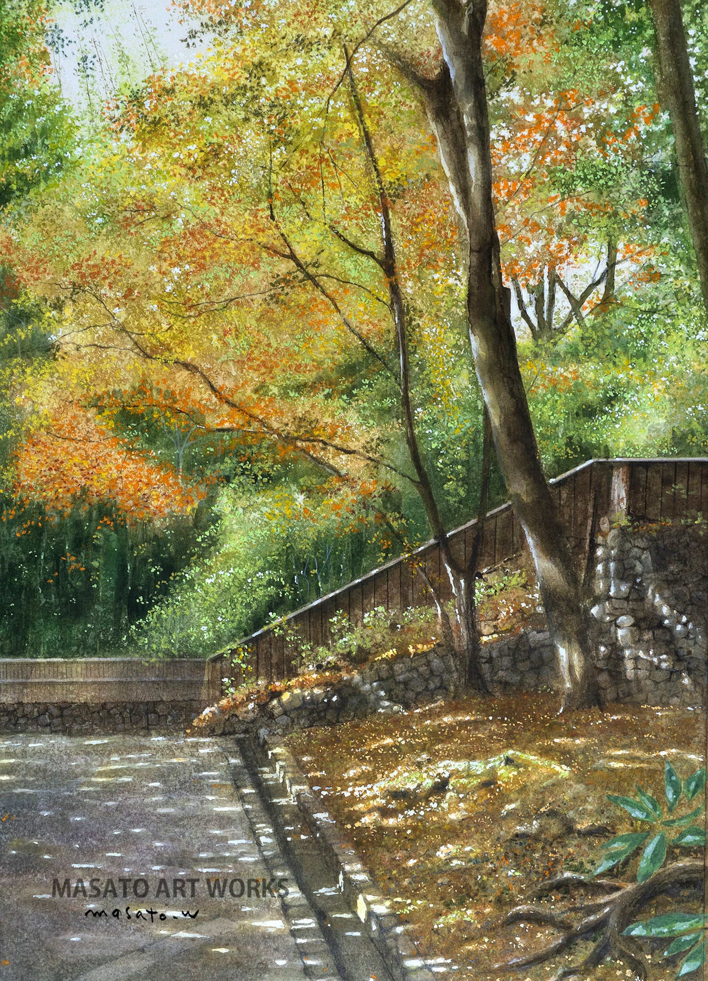 n-26 京都 哲学の道界隈 秋光