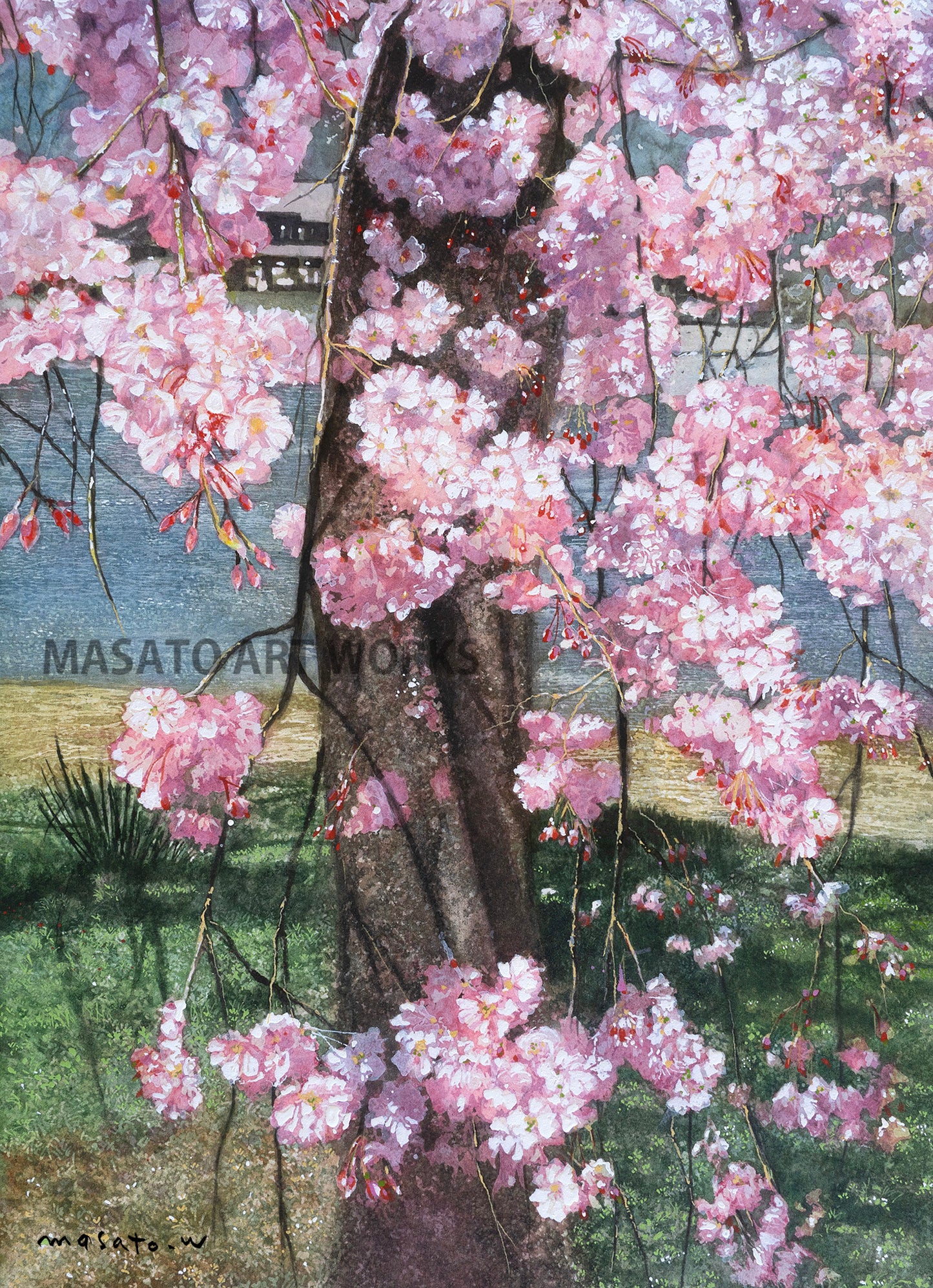 n-京都嵐山・春・川沿いの枝垂れ桜