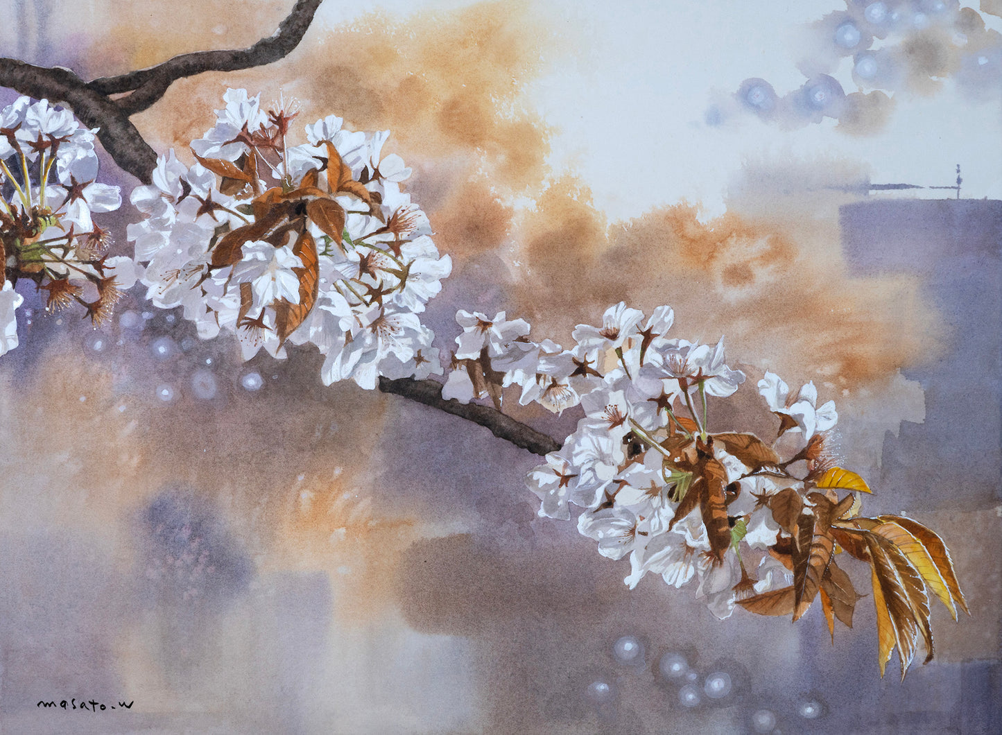 c- Cherry blossoms and brown leaves