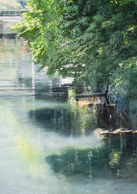 Kyoto Arashiyama - Early Summer