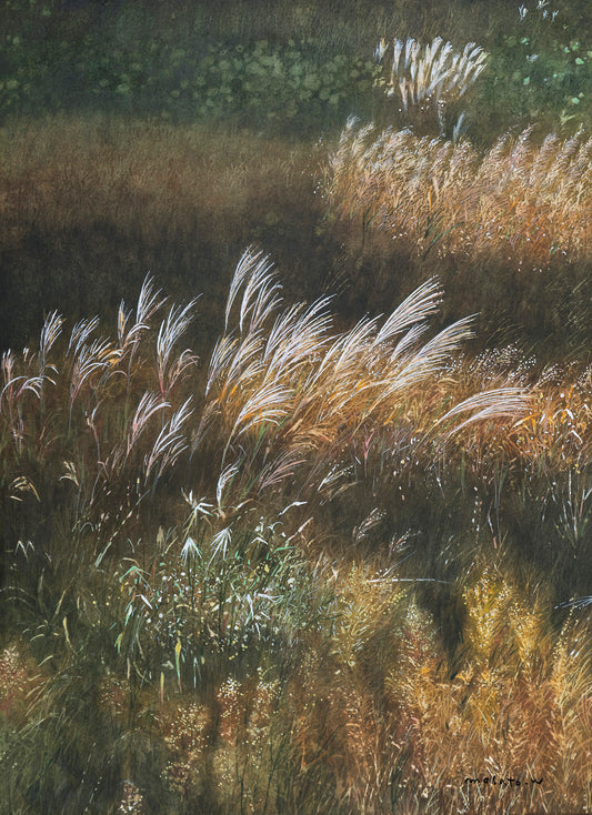a-Japanese silver grass swaying in the autumn wind