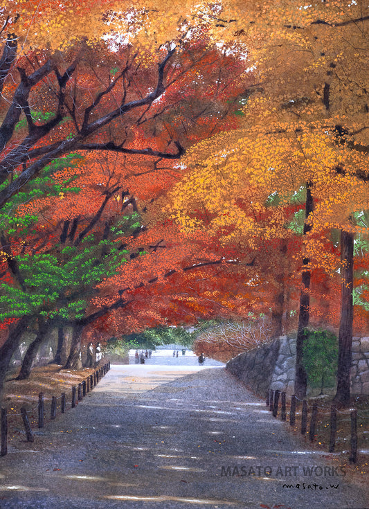 n-Late autumn at Nanzenji Temple in Kyoto, vibrant autumn leaves