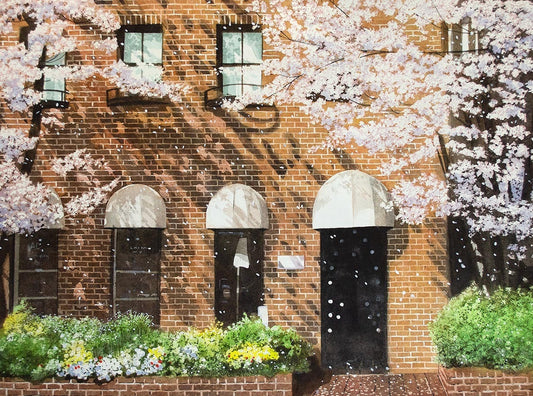Cherry blossoms and brick building