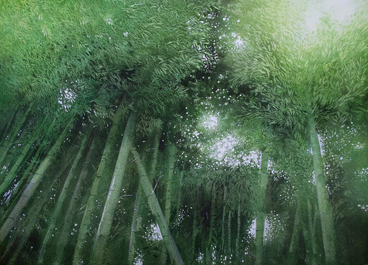 Bamboo and light/竹と光