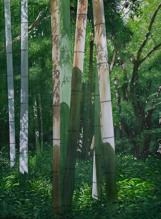 Bamboo forest/竹林